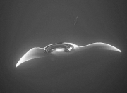 DSCN3238