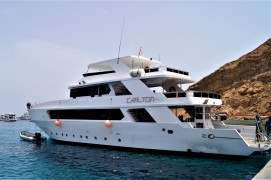 M/Y Carlton